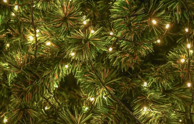 Salvation Army Tree of Lights Kickoff Takes Place Monday Morning In St. Robert