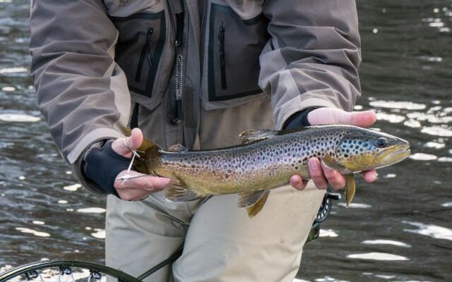 Missouri Trout Catch and Keep Season Coming To  A Close