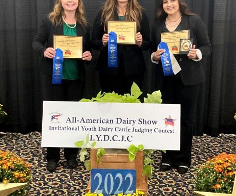3 Local Girls win All American Dairy Show