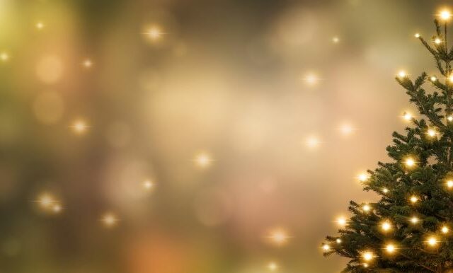 City Christmas Tree Lighting marks the beginning of the Holiday Season