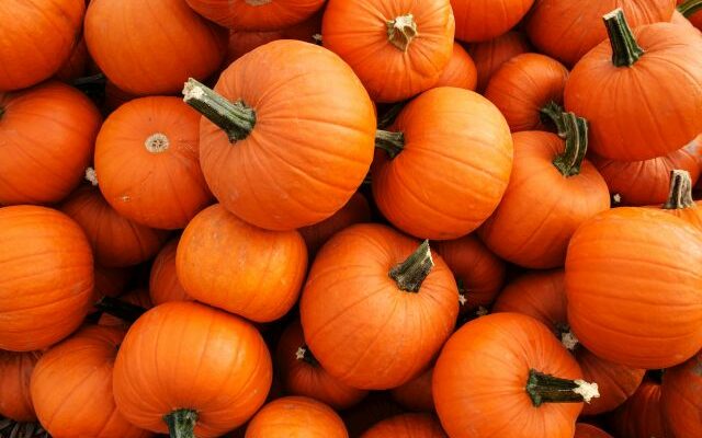 Waynesville authorities are thrilled with the success of this year’s Pumpkin Fest