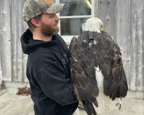 MDC Partners on Bald Eagle Project