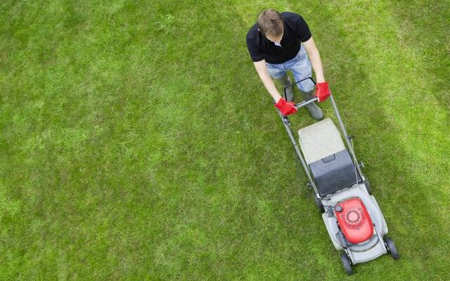 Is your lawn considered a public nuisance?