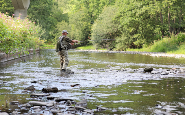 National Fly Fishing Competition coming to Bennett Spring