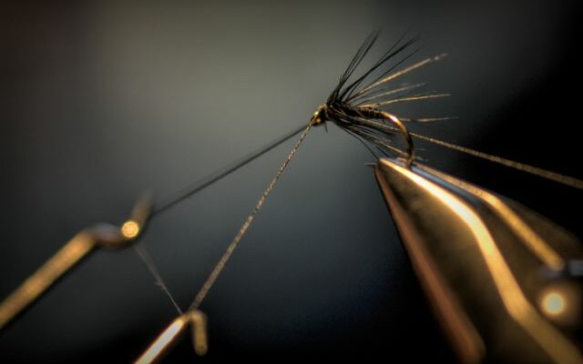 The Missouri Department of Conservation and the Roubidoux Fly Fishers Association are hosting a free fly tying and fishing program