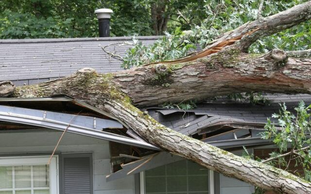 Residents of Crocker, Dixon, Richland, Saint Robert, and Waynesville are eligible to receive storm cleanup assistance